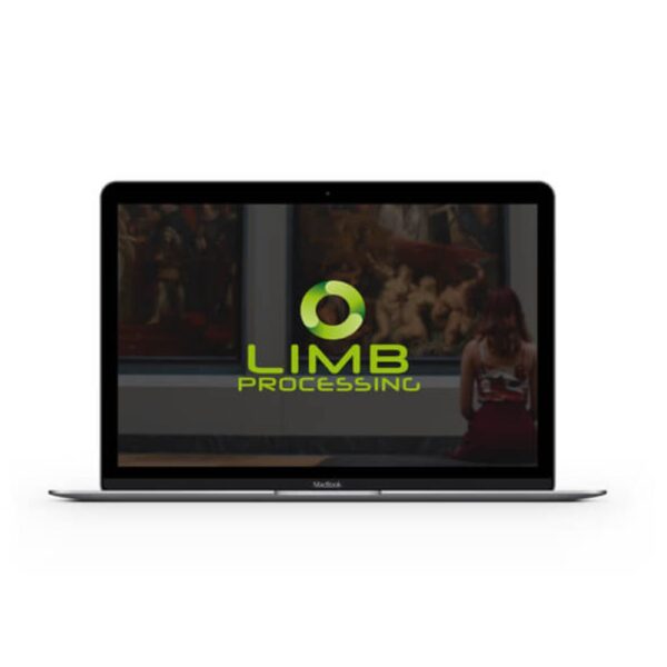I2S LIMB MAESTRO - РАЙС